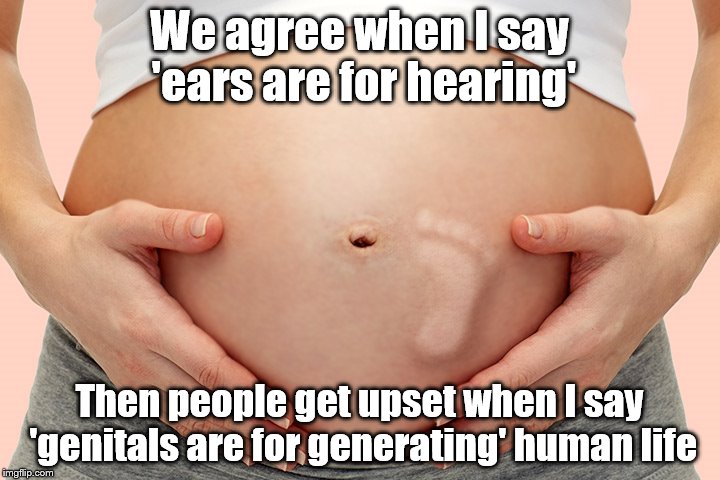 Marital act II | We agree when I say 'ears are for hearing'; Then people get upset when I say 'genitals are for generating' human life | image tagged in marital act ii | made w/ Imgflip meme maker