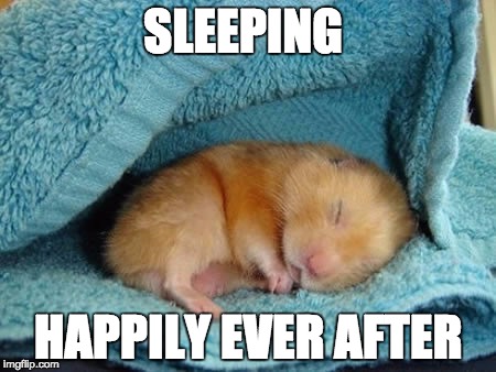 sleeping is awesome | SLEEPING; HAPPILY EVER AFTER | image tagged in memes,sleeping,funny,cute memes,good memes | made w/ Imgflip meme maker