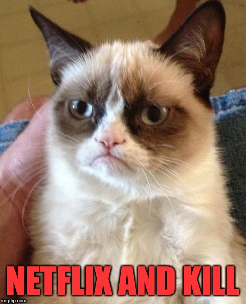 Grumpy Cat Meme | NETFLIX AND KILL | image tagged in memes,grumpy cat | made w/ Imgflip meme maker