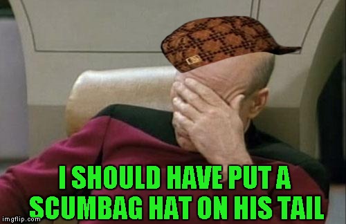 Captain Picard Facepalm Meme | I SHOULD HAVE PUT A SCUMBAG HAT ON HIS TAIL | image tagged in memes,captain picard facepalm,scumbag | made w/ Imgflip meme maker
