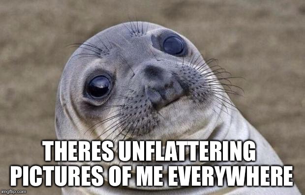 Awkward Moment Sealion Meme | THERES UNFLATTERING PICTURES OF ME EVERYWHERE | image tagged in memes,awkward moment sealion | made w/ Imgflip meme maker