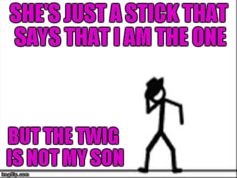 SHE'S JUST A STICK THAT SAYS THAT I AM THE ONE BUT THE TWIG IS NOT MY SON | made w/ Imgflip meme maker
