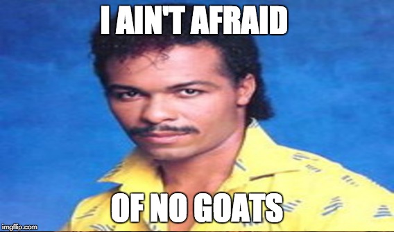 Something Wrong In Yo' Neighborhood | I AIN'T AFRAID; OF NO GOATS | image tagged in ghostbusters,ray parker jr,goats | made w/ Imgflip meme maker