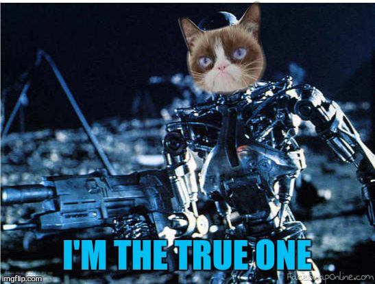 grump cat terminator | I'M THE TRUE ONE | image tagged in grump cat terminator | made w/ Imgflip meme maker