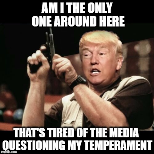 Am I The Only One Around Here Tired Of The Media? | AM I THE ONLY ONE AROUND HERE; THAT'S TIRED OF THE MEDIA QUESTIONING MY TEMPERAMENT | image tagged in donald trump,hillary clinton,email scandal,benghazi,funny,memes,PoliticalHumor | made w/ Imgflip meme maker