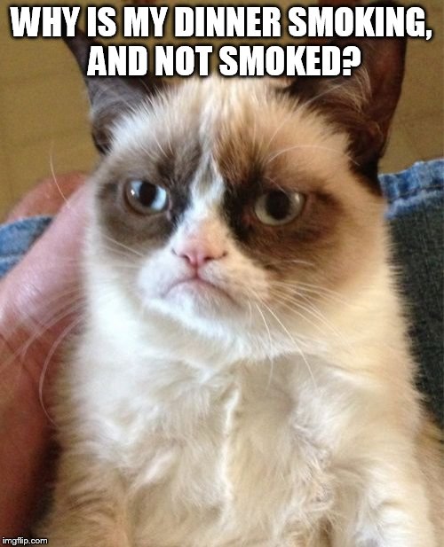 Grumpy Cat Meme | WHY IS MY DINNER SMOKING, AND NOT SMOKED? | image tagged in memes,grumpy cat | made w/ Imgflip meme maker