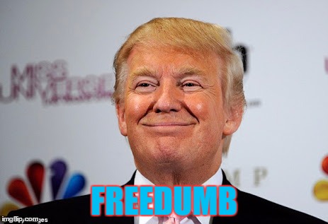 Donald trump approves | FREEDUMB | image tagged in donald trump approves | made w/ Imgflip meme maker