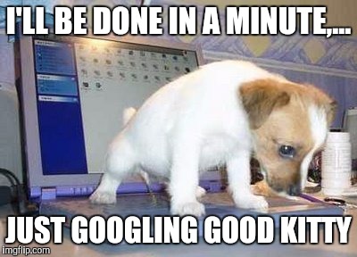 I'LL BE DONE IN A MINUTE,... JUST GOOGLING GOOD KITTY | made w/ Imgflip meme maker