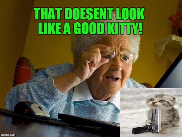 Grandma Finds The Internet Meme | THAT DOESENT LOOK LIKE A GOOD KITTY! | image tagged in memes,grandma finds the internet | made w/ Imgflip meme maker