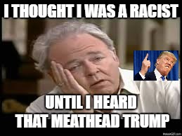 I THOUGHT I WAS A RACIST; UNTIL I HEARD THAT MEATHEAD TRUMP | image tagged in donald trump,trump racist | made w/ Imgflip meme maker