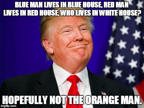 BLUE MAN LIVES IN BLUE HOUSE, RED MAN LIVES IN RED HOUSE, WHO LIVES IN WHITE HOUSE? HOPEFULLY NOT THE ORANGE MAN. | image tagged in the orange man | made w/ Imgflip meme maker