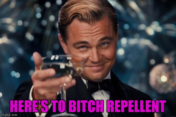 Leonardo Dicaprio Cheers Meme | HERE'S TO B**CH REPELLENT | image tagged in memes,leonardo dicaprio cheers | made w/ Imgflip meme maker