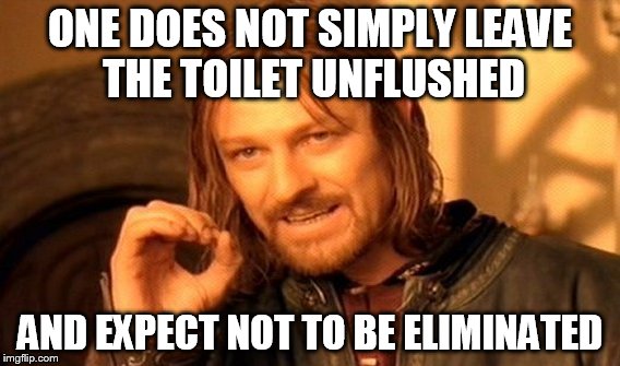 One Does Not Simply Meme | ONE DOES NOT SIMPLY LEAVE THE TOILET UNFLUSHED AND EXPECT NOT TO BE ELIMINATED | image tagged in memes,one does not simply | made w/ Imgflip meme maker