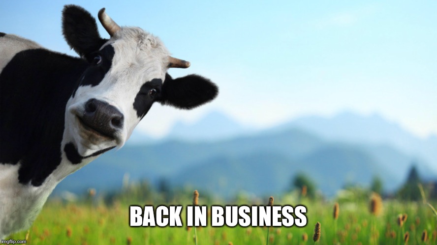 BACK IN BUSINESS | made w/ Imgflip meme maker