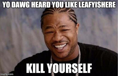 Keemstar fans | YO DAWG HEARD YOU LIKE LEAFYISHERE; KILL YOURSELF | image tagged in memes,yo dawg heard you,keemstar,keemstar fans,leafyishere,leafy fans | made w/ Imgflip meme maker