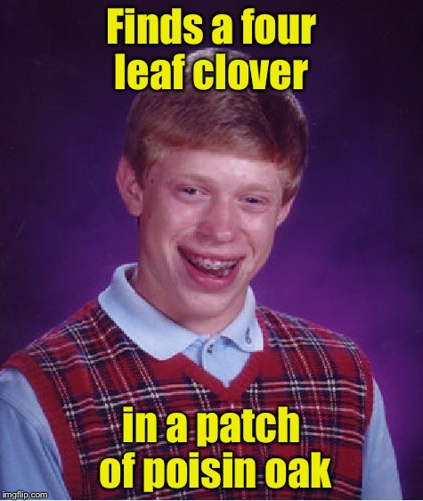 Bad Luck Brian Meme | Finds a four leaf clover; in a patch of poisin oak | image tagged in memes,bad luck brian | made w/ Imgflip meme maker