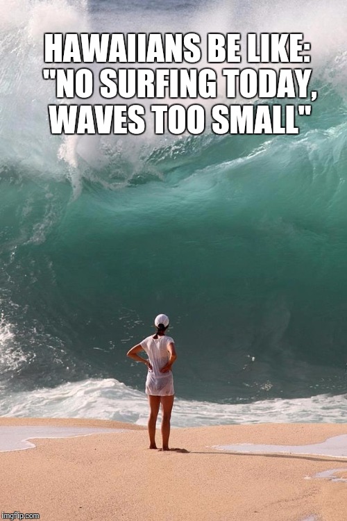 HAWAIIANS BE LIKE: "NO SURFING TODAY, WAVES TOO SMALL" | image tagged in wave | made w/ Imgflip meme maker