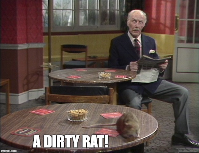 A DIRTY RAT! | made w/ Imgflip meme maker