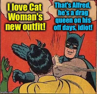 Batman Slapping Robin Meme | I love Cat Woman's new outfit! That's Alfred, he's a drag queen on his off days, idiot! | image tagged in memes,batman slapping robin,funny,evilmandoevil | made w/ Imgflip meme maker