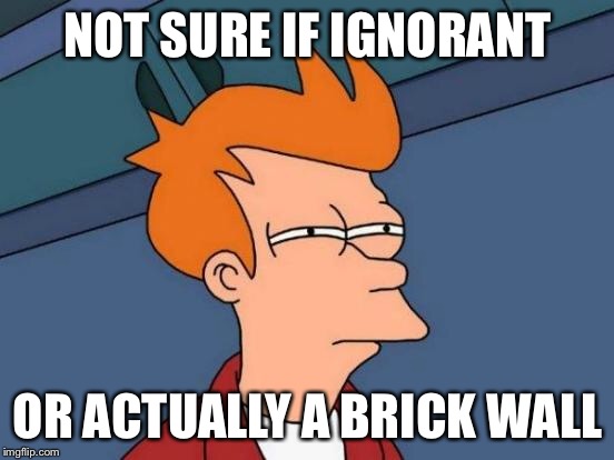 Talking politics | NOT SURE IF IGNORANT; OR ACTUALLY A BRICK WALL | image tagged in memes,futurama fry,politics,nevertrump,neverhillary | made w/ Imgflip meme maker