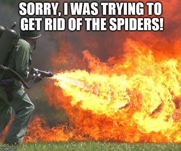 SORRY, I WAS TRYING TO GET RID OF THE SPIDERS! | image tagged in flamethrower | made w/ Imgflip meme maker