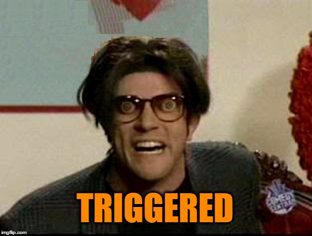 TRIGGERED | made w/ Imgflip meme maker