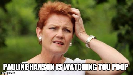 Pauline Hanson  | PAULINE HANSON IS WATCHING YOU POOP | image tagged in pauline hanson | made w/ Imgflip meme maker