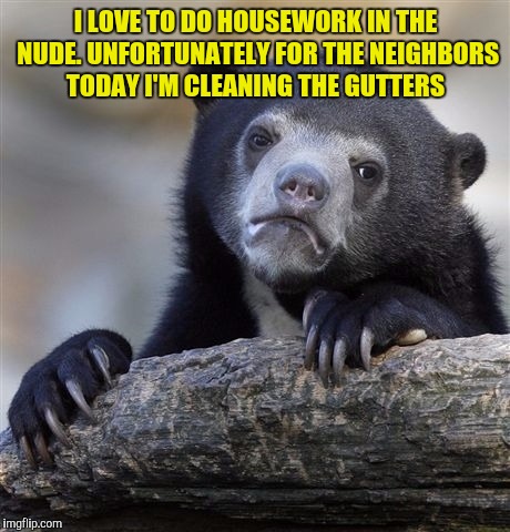 Confession Bear | I LOVE TO DO HOUSEWORK IN THE NUDE. UNFORTUNATELY FOR THE NEIGHBORS TODAY I'M CLEANING THE GUTTERS | image tagged in memes,confession bear | made w/ Imgflip meme maker