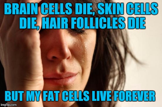 First World Problems Meme | BRAIN CELLS DIE, SKIN CELLS DIE, HAIR FOLLICLES DIE; BUT MY FAT CELLS LIVE FOREVER | image tagged in memes,first world problems | made w/ Imgflip meme maker
