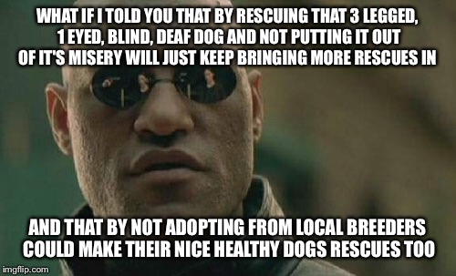 Please don't sit there and feel sorry for the animal, put it out of it's misery. | WHAT IF I TOLD YOU THAT BY RESCUING THAT 3 LEGGED, 1 EYED, BLIND, DEAF DOG AND NOT PUTTING IT OUT OF IT'S MISERY WILL JUST KEEP BRINGING MORE RESCUES IN; AND THAT BY NOT ADOPTING FROM LOCAL BREEDERS COULD MAKE THEIR NICE HEALTHY DOGS RESCUES TOO | image tagged in memes,matrix morpheus,the truth,what if i told you | made w/ Imgflip meme maker