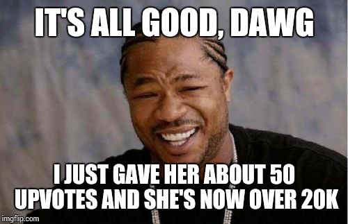 Yo Dawg Heard You Meme | IT'S ALL GOOD, DAWG I JUST GAVE HER ABOUT 50 UPVOTES AND SHE'S NOW OVER 20K | image tagged in memes,yo dawg heard you | made w/ Imgflip meme maker