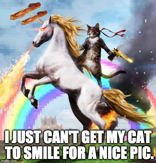 Can you MEME experts tell what I added to the pic? | I JUST CAN'T GET MY CAT TO SMILE FOR A NICE PIC. | image tagged in memes,welcome to the internets,bacon,cat | made w/ Imgflip meme maker