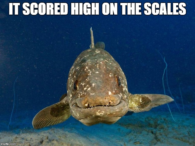 IT SCORED HIGH ON THE SCALES | made w/ Imgflip meme maker