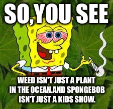Weed | SO,YOU SEE; WEED ISN'T JUST A PLANT IN THE OCEAN.AND SPONGEBOB ISN'T JUST A KIDS SHOW. | image tagged in weed | made w/ Imgflip meme maker