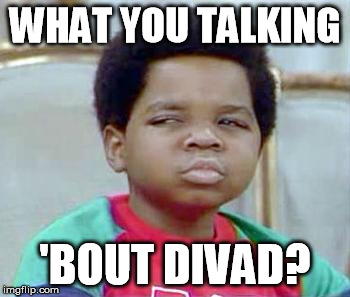 Whatchu Talkin' Bout, Willis? | WHAT YOU TALKING; 'BOUT DIVAD? | image tagged in whatchu talkin' bout willis? | made w/ Imgflip meme maker