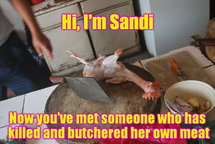 Hi, I'm Sandi Now you've met someone who has killed and butchered her own meat | made w/ Imgflip meme maker