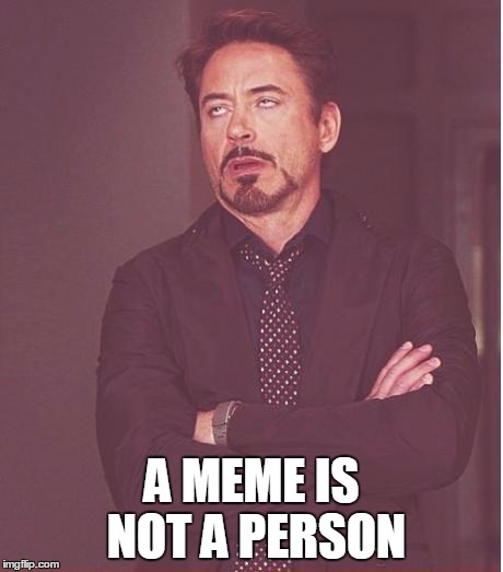 Face You Make Robert Downey Jr Meme | A MEME IS NOT A PERSON | image tagged in memes,face you make robert downey jr | made w/ Imgflip meme maker
