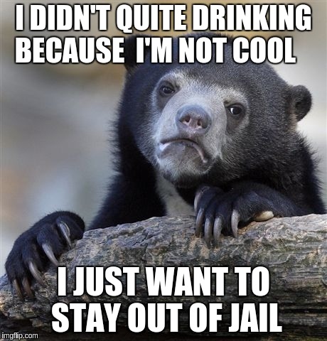 Confession Bear Meme - Imgflip