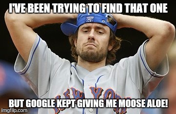 I'VE BEEN TRYING TO FIND THAT ONE BUT GOOGLE KEPT GIVING ME MOOSE ALOE! | made w/ Imgflip meme maker
