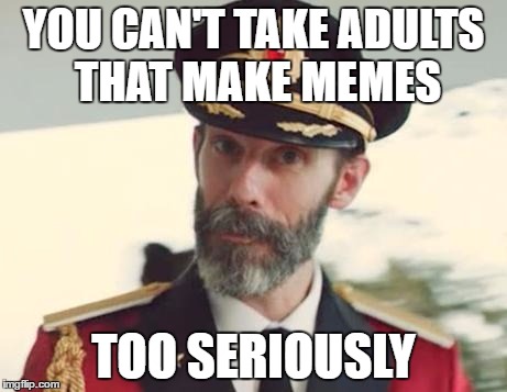 Captain Obvious | YOU CAN'T TAKE ADULTS THAT MAKE MEMES; TOO SERIOUSLY | image tagged in captain obvious | made w/ Imgflip meme maker