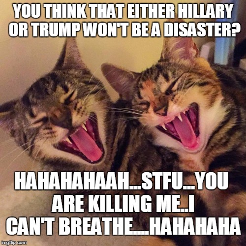 YOU ARE KILLING ME WITH STUPID | YOU THINK THAT EITHER HILLARY OR TRUMP WON'T BE A DISASTER? HAHAHAHAAH...STFU...YOU ARE KILLING ME..I CAN'T BREATHE....HAHAHAHA | image tagged in cats smiling,election 2016,hillary 2016,trump 2016 | made w/ Imgflip meme maker