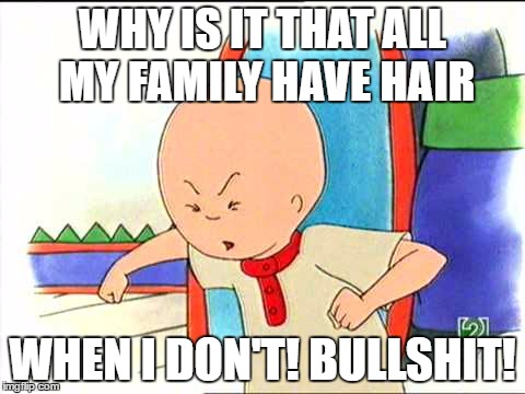 Angry caillou | WHY IS IT THAT ALL MY FAMILY HAVE HAIR; WHEN I DON'T! BULLSHIT! | image tagged in angry caillou | made w/ Imgflip meme maker