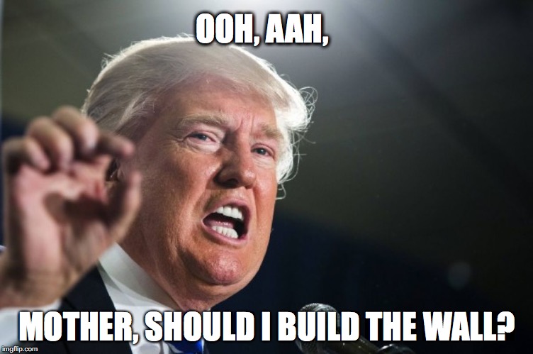 donald trump | OOH, AAH, MOTHER, SHOULD I BUILD THE WALL? | image tagged in donald trump | made w/ Imgflip meme maker