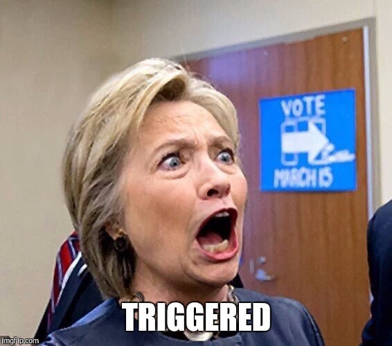 Hillary Triggered | TRIGGERED | image tagged in hillary triggered | made w/ Imgflip meme maker