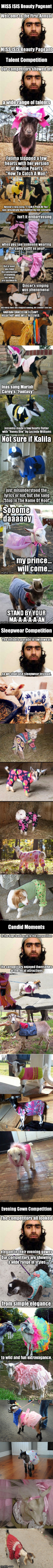 Heard on the radio that the Lenawee County Fair was having a Dress A Goat contest, and the very first thought I had was... | image tagged in meme,isis,goat,beauty,contest,competition | made w/ Imgflip meme maker