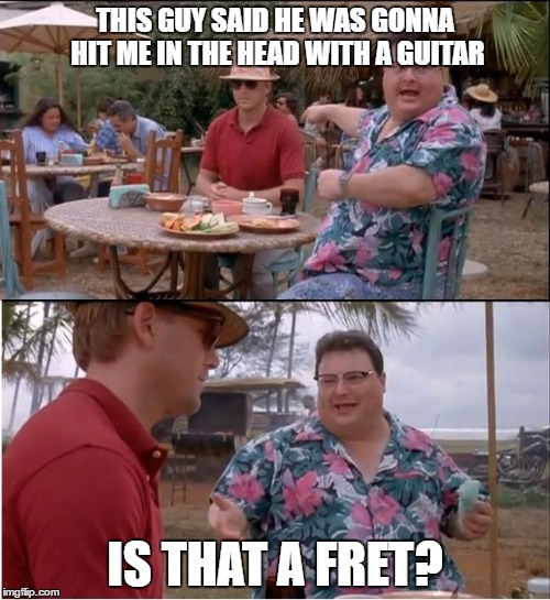 See Nobody Cares | THIS GUY SAID HE WAS GONNA HIT ME IN THE HEAD WITH A GUITAR; IS THAT A FRET? | image tagged in memes,see nobody cares | made w/ Imgflip meme maker