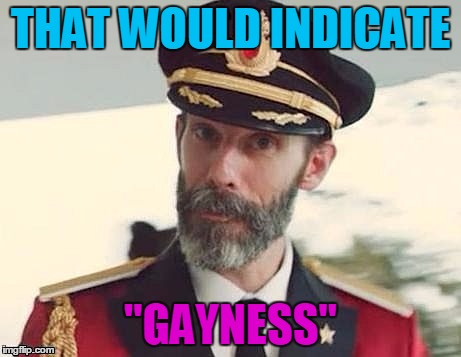 Captain Obvious | THAT WOULD INDICATE "GAYNESS" | image tagged in captain obvious | made w/ Imgflip meme maker