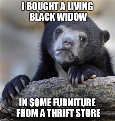 Confession Bear Meme | I BOUGHT A LIVING BLACK WIDOW IN SOME FURNITURE FROM A THRIFT STORE | image tagged in memes,confession bear | made w/ Imgflip meme maker