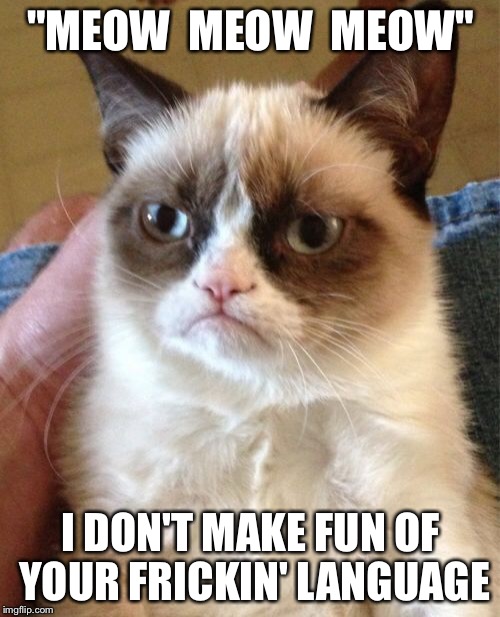 Grumpy Cat Meme | "MEOW  MEOW  MEOW" I DON'T MAKE FUN OF YOUR FRICKIN' LANGUAGE | image tagged in memes,grumpy cat | made w/ Imgflip meme maker