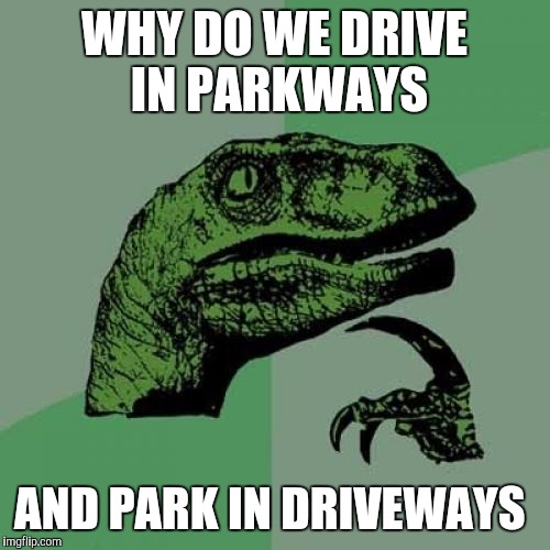 Philosoraptor | WHY DO WE DRIVE IN PARKWAYS; AND PARK IN DRIVEWAYS | image tagged in memes,philosoraptor | made w/ Imgflip meme maker